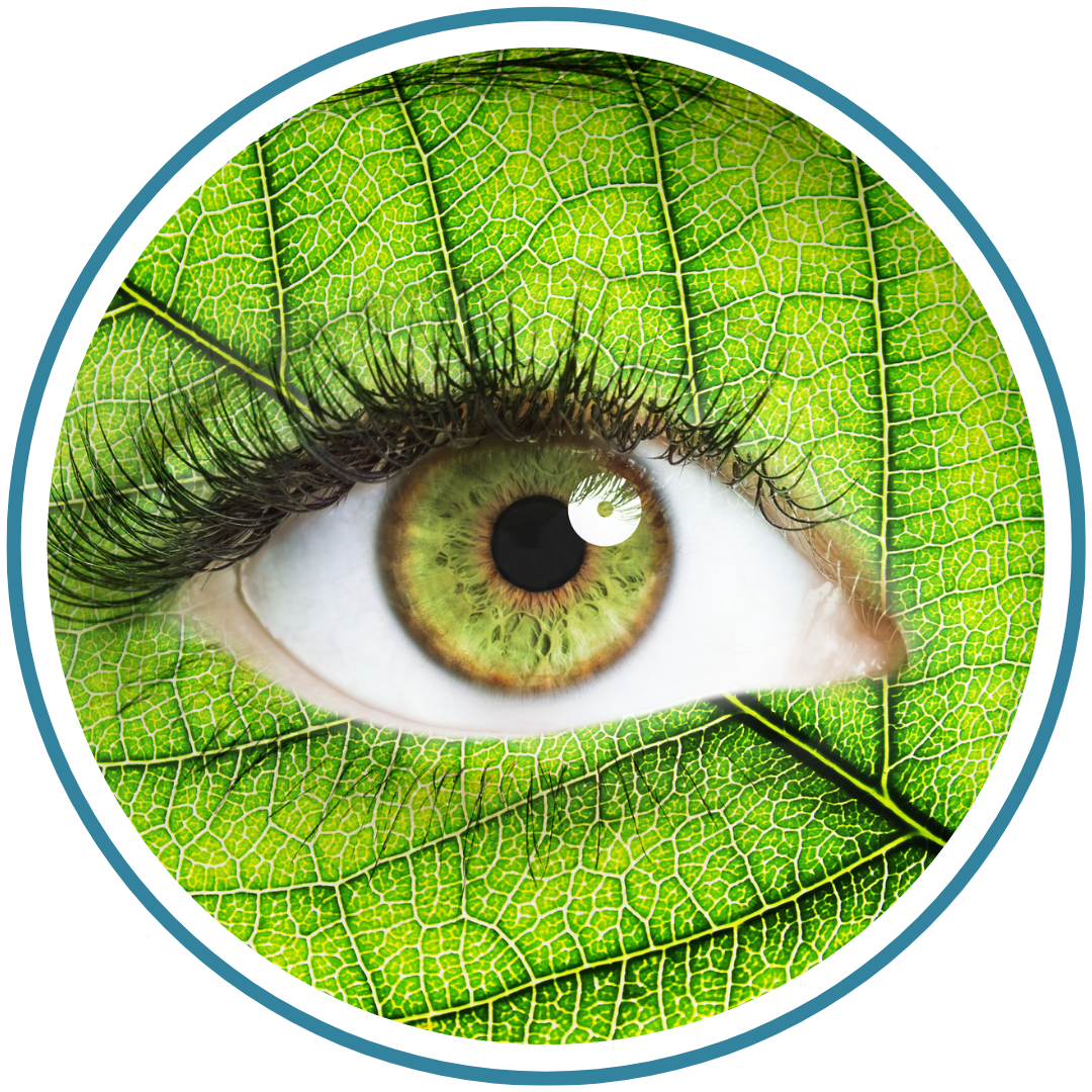 Eye Health