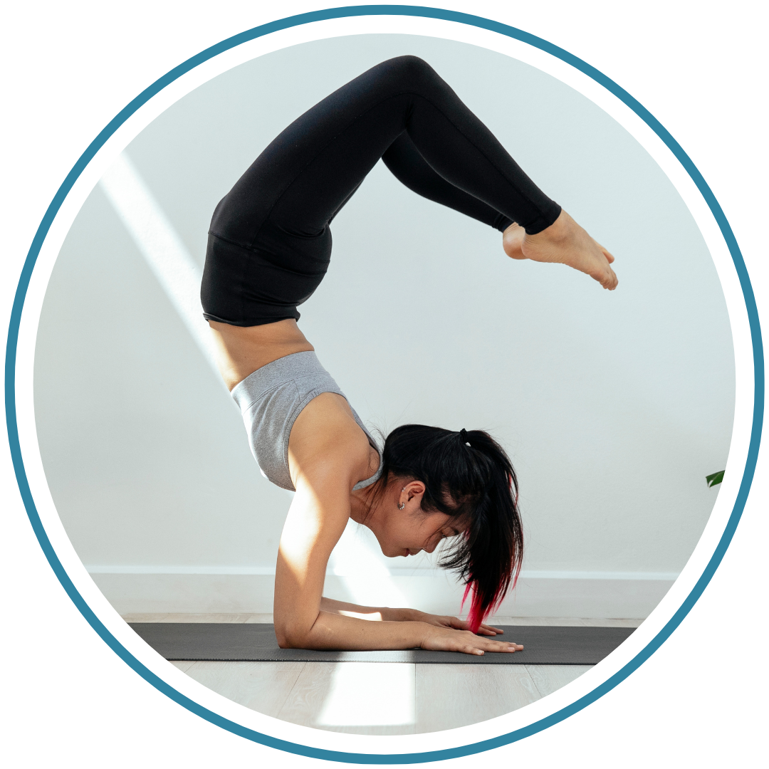 Joints & Flexibility