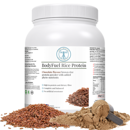 BodyFuel Rice Protein- Chocolate